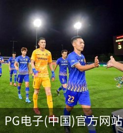 PG案例